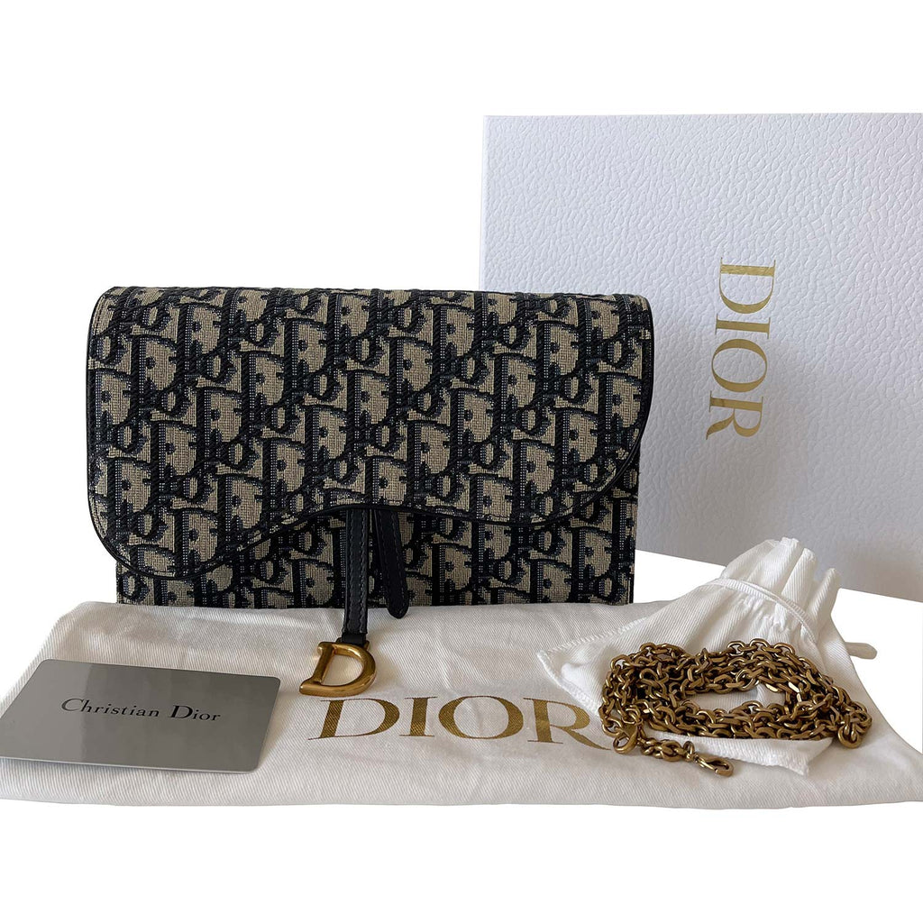 Christian Dior Saddle Flat Belt Pouch, Grey, New in Box WA001