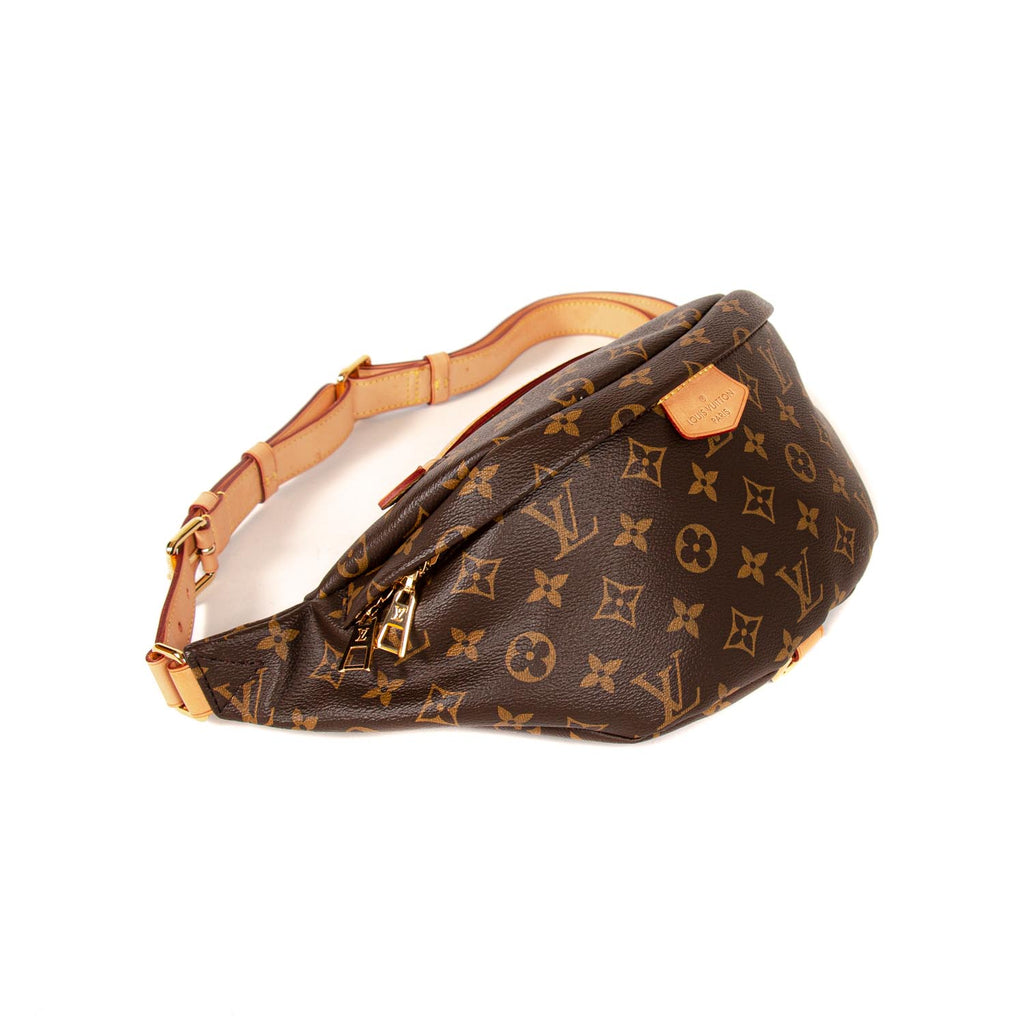 Louis Vuitton Monogram Bumbag