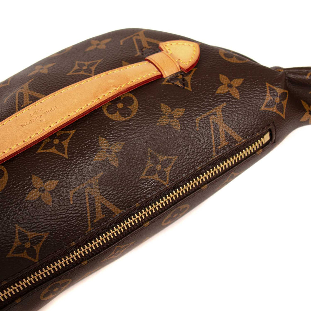 Louis Vuitton Monogram Bumbag