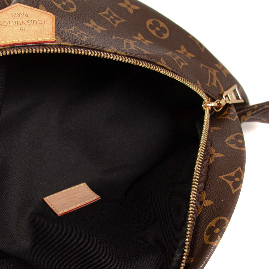 Louis Vuitton Monogram Bumbag