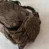 Bottega Veneta Intrecciato Snake Skin Hobo Bag