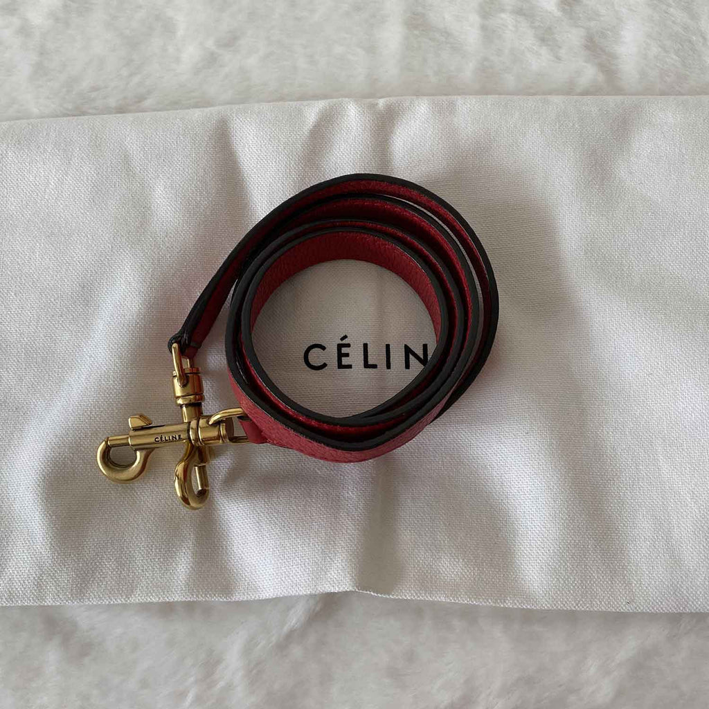 Céline Nano Luggage Tote Bag