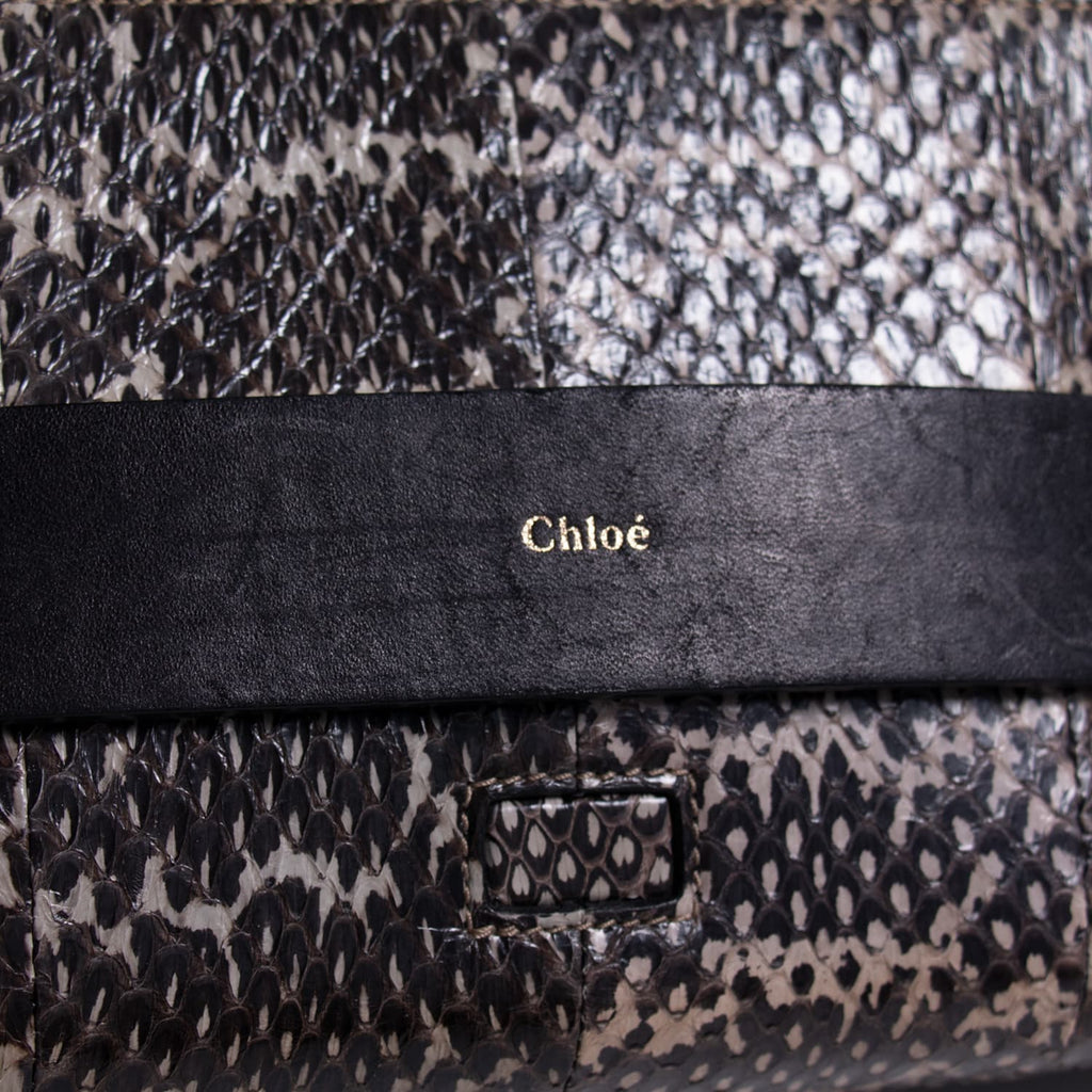 Chloé Snakeskin Medium Elle Bag Bags Chloé - Shop authentic new pre-owned designer brands online at Re-Vogue