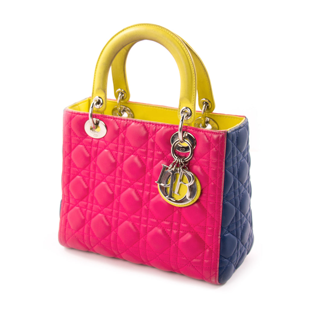 Lady dior tricolor shop