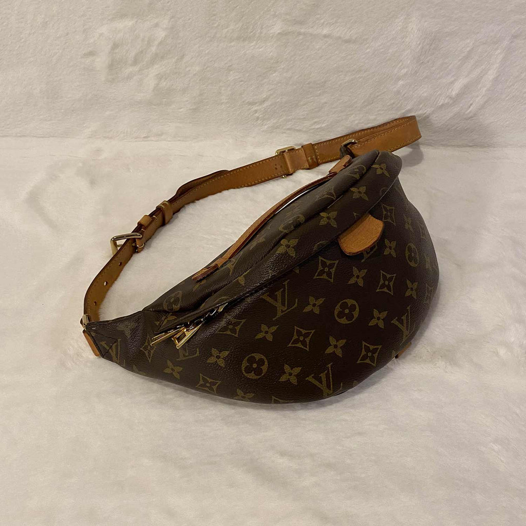 Louis Vuitton Monogram Shearling Bumbag – DAC