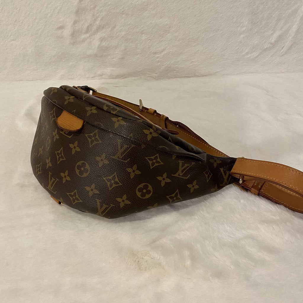 Louis Vuitton Monogram Shearling Bumbag – DAC