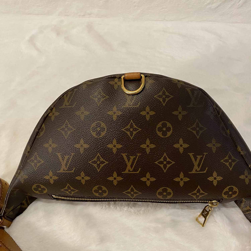 Louis Vuitton Monogram Shearling Bumbag – DAC