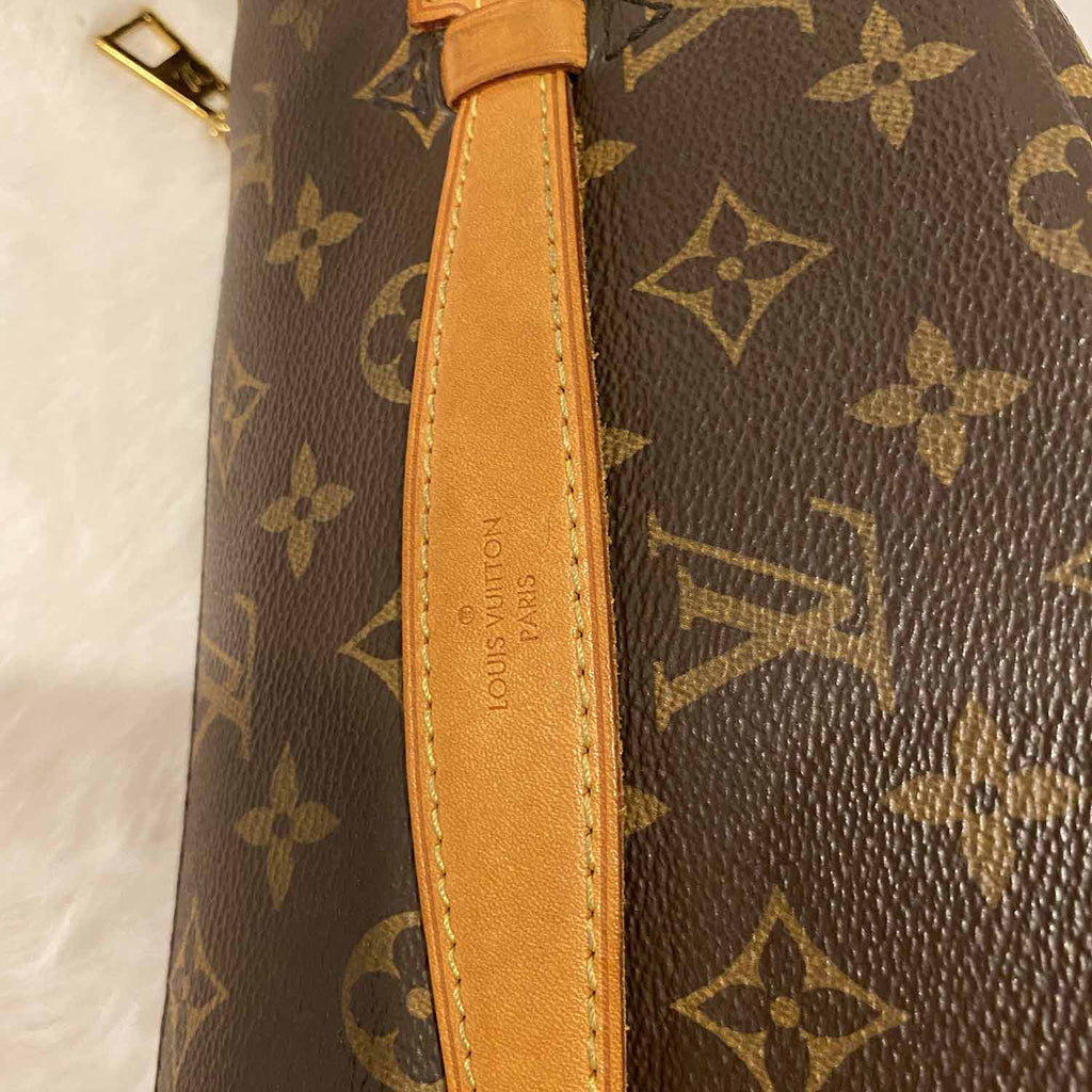 Louis-Vuitton-Monogram-Bumbag-Cross-Body-Bag-M43644 – dct-ep_vintage luxury  Store