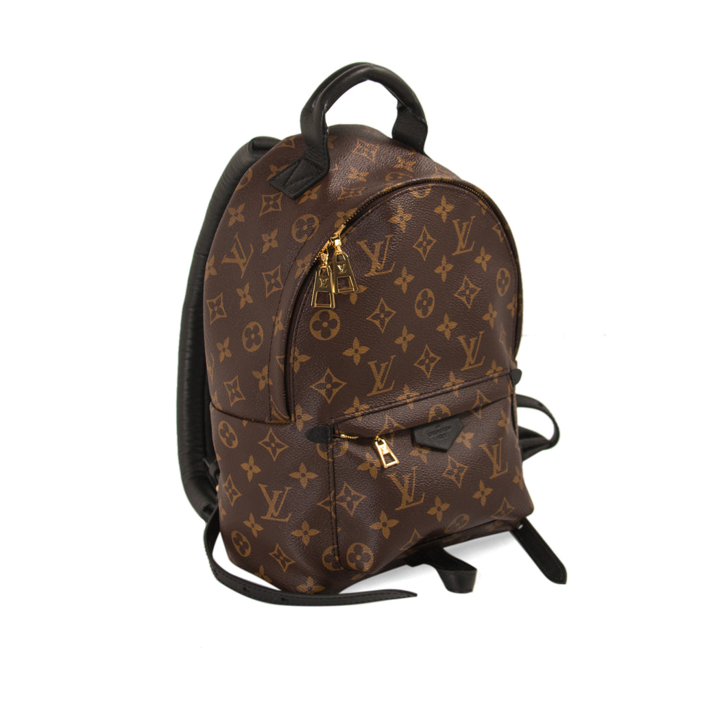 Louis Vuitton 2019 Pre-owned Monogram Palm Spring PM Backpack - Brown