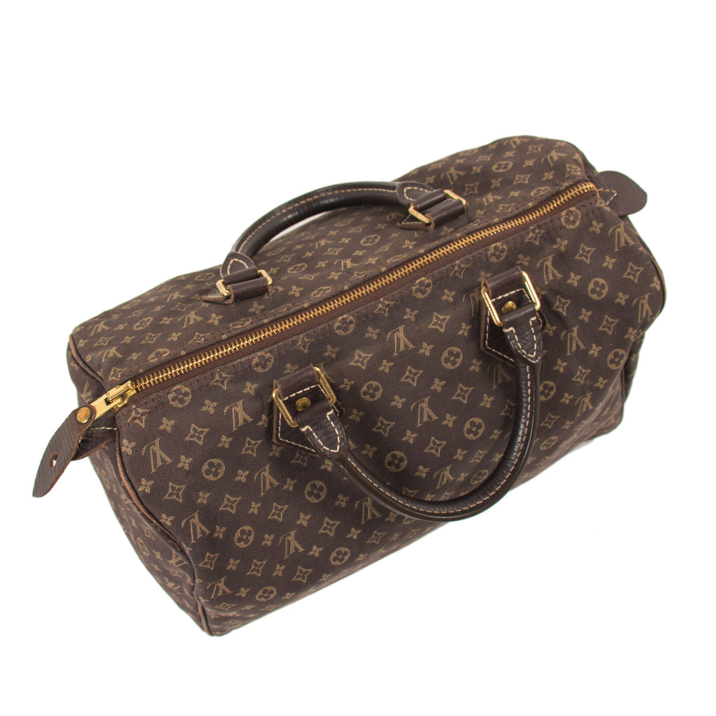 Louis Vuitton Fusain Monogram Mini Lin Canvas Speedy 30 Bag Louis