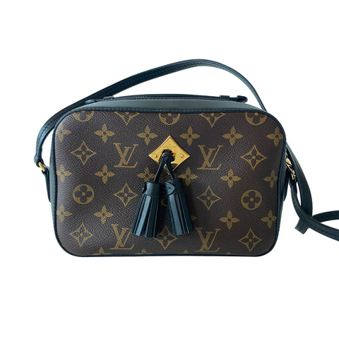 Louis Vuitton Monogram Florine Bag